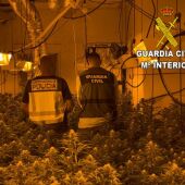 La Guardia Civil y la Policía Nacional desarticulan un grupo que distribuía droga desde Villena a la provincia, Albacete y Murcia. 