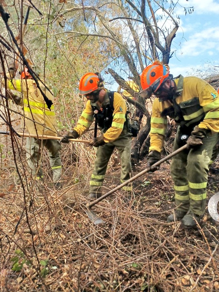Extinguidos los focos del incendio forestal en Tornavacas y Jerte Extinguidos los focos del incendio forestal en Tornavacas y Jerte