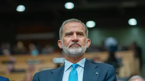 El rey Felipe VI en una imagen de archivo El rey Felipe VI en una imagen de archivo