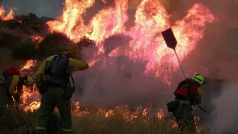 El Plan INFOEX declara extinguido el incendio forestal de Jaraíz de la Vera El Plan INFOEX declara extinguido el incendio forestal de Jaraíz de la Vera
