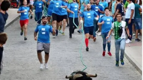 Toro de cuerda Toro de cuerda