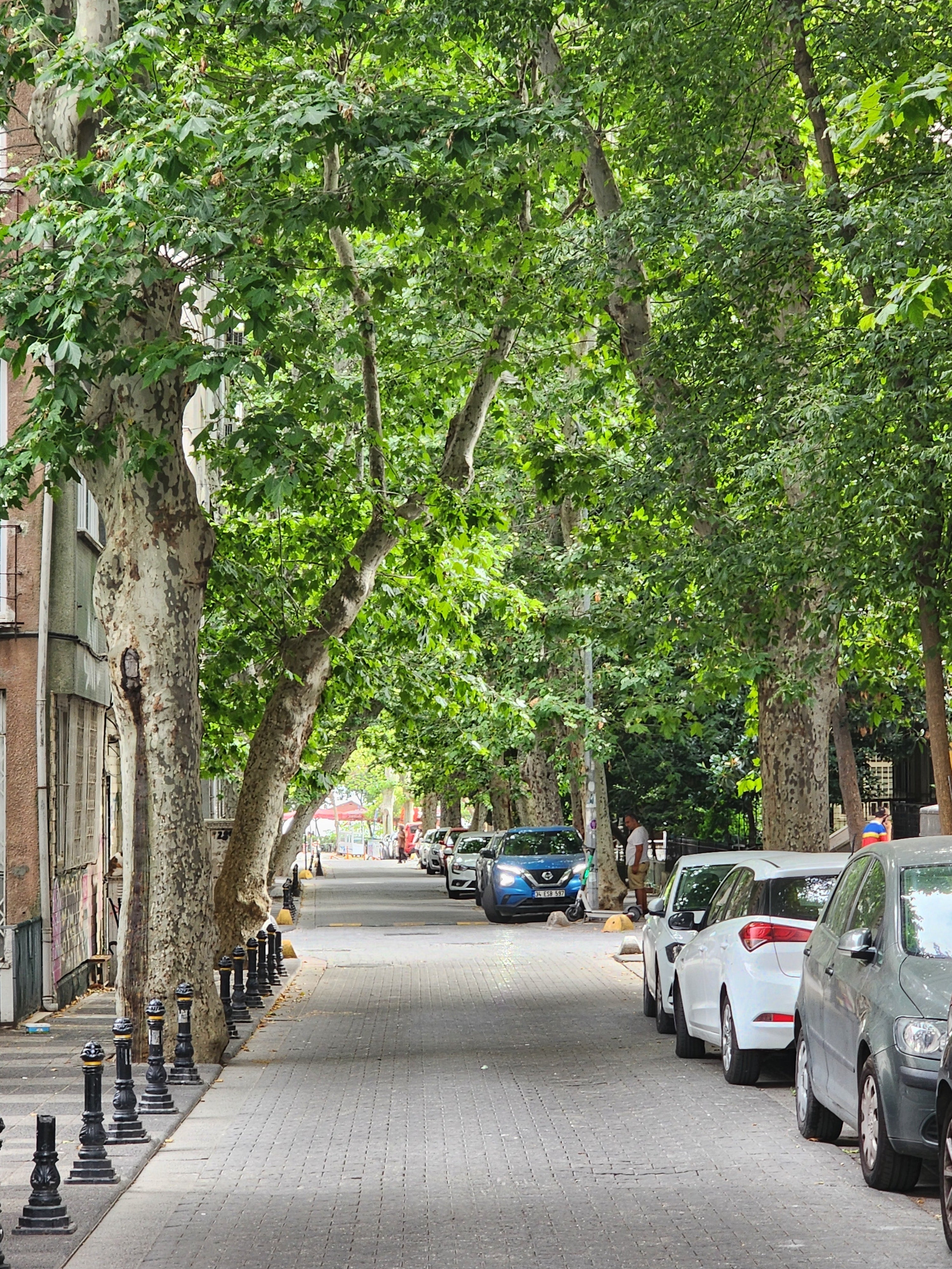 Cómo afecta el entorno urbano a nuestra salud Cómo afecta el entorno urbano a nuestra salud