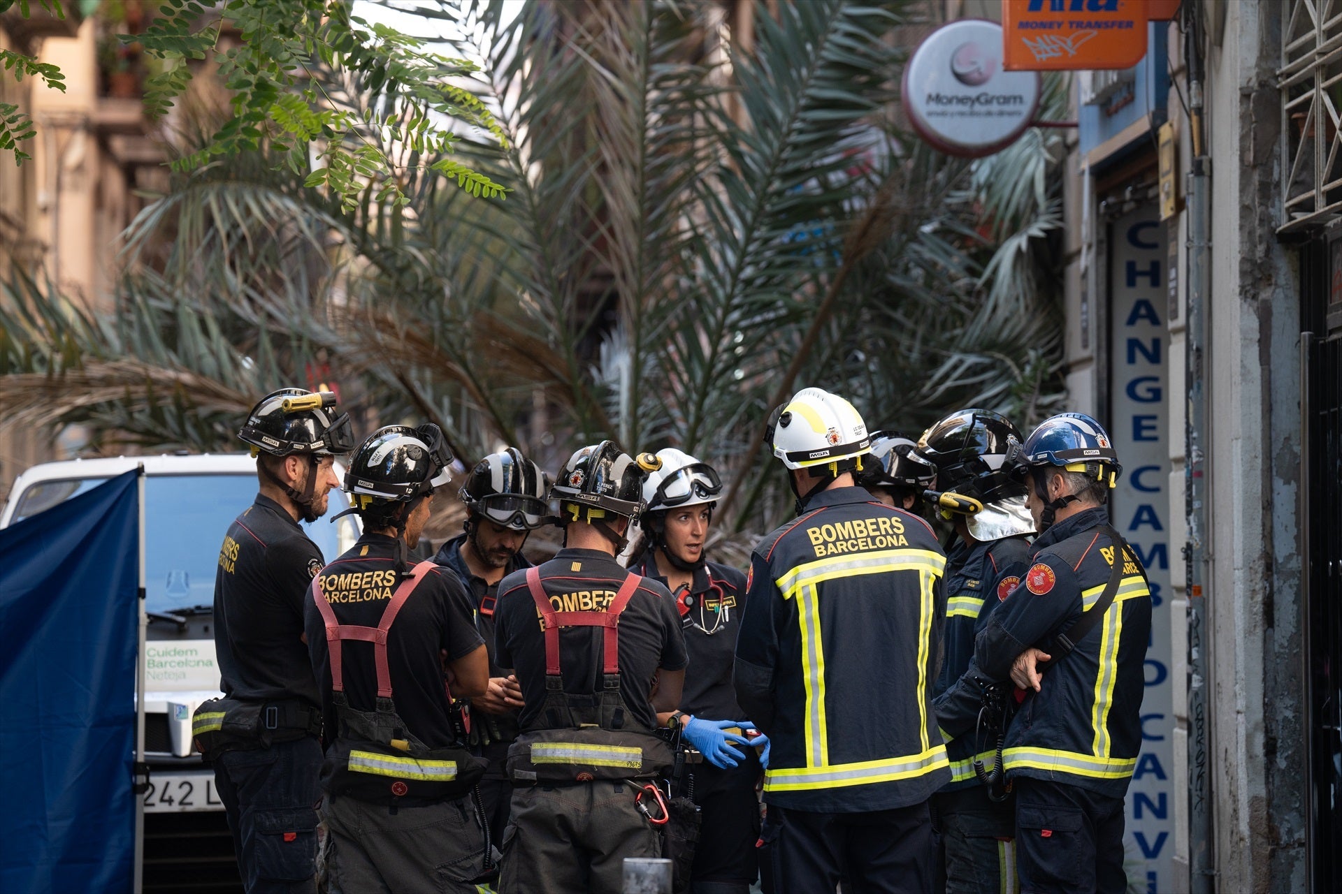 Muere una joven de 20 años tras caerle encima una palmera en Barcelona Muere una joven de 20 años tras caerle encima una palmera en Barcelona