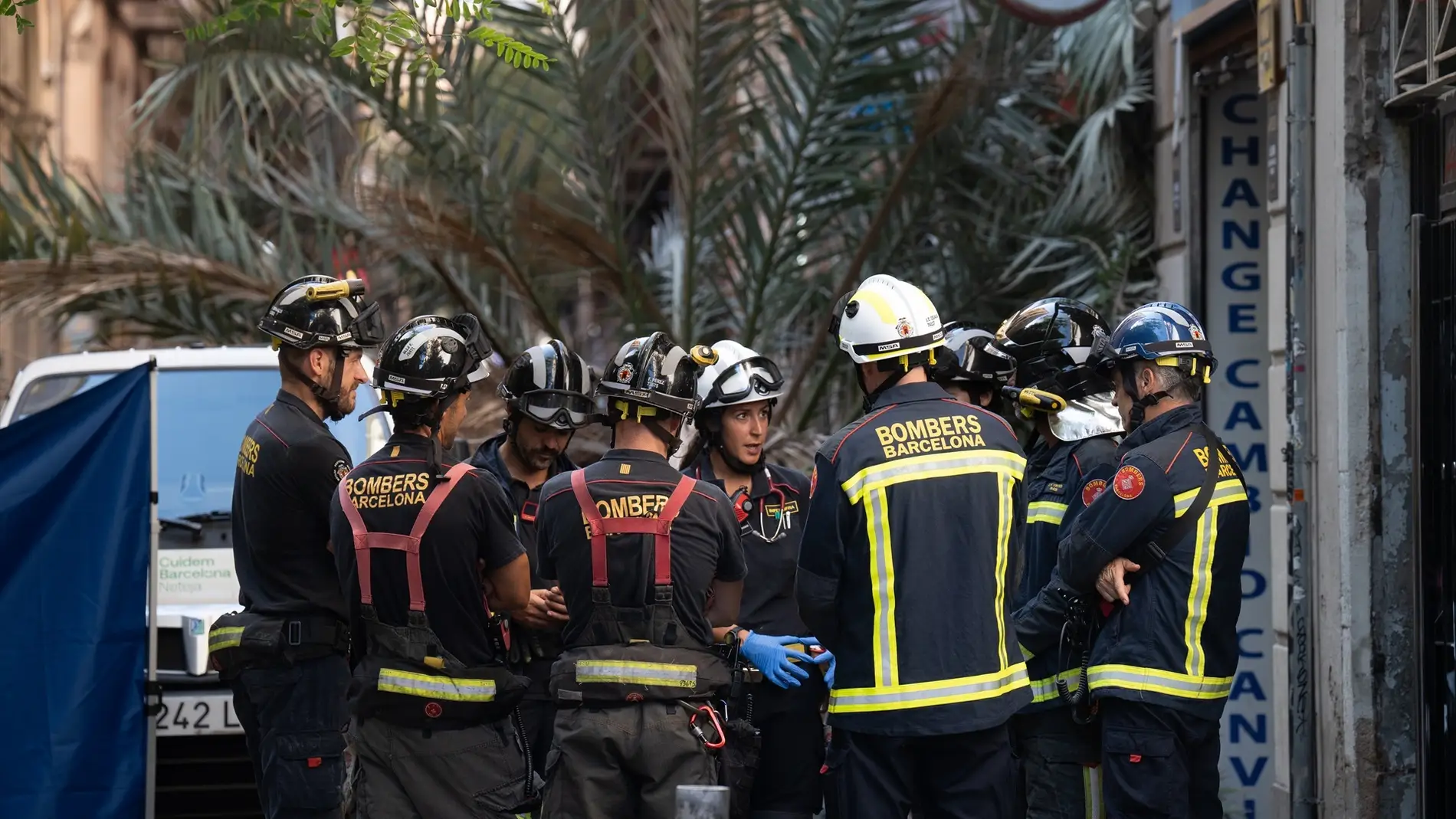 Bomberos acuden al Raval de Barcelona donde ha caído una palmera a la joven.