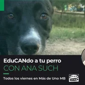 Edu-CAN-do a tu perro_Plantilla Edu-CAN-do a tu perro_Plantilla