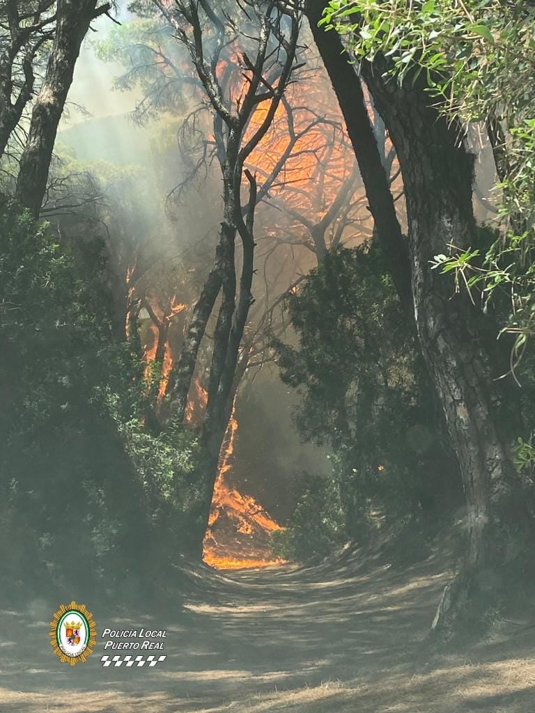 El incendio de Puerto Real está controlado y "en fase de estabilización", pendiente del viento El incendio de Puerto Real está controlado y "en fase de estabilización", pendiente del viento