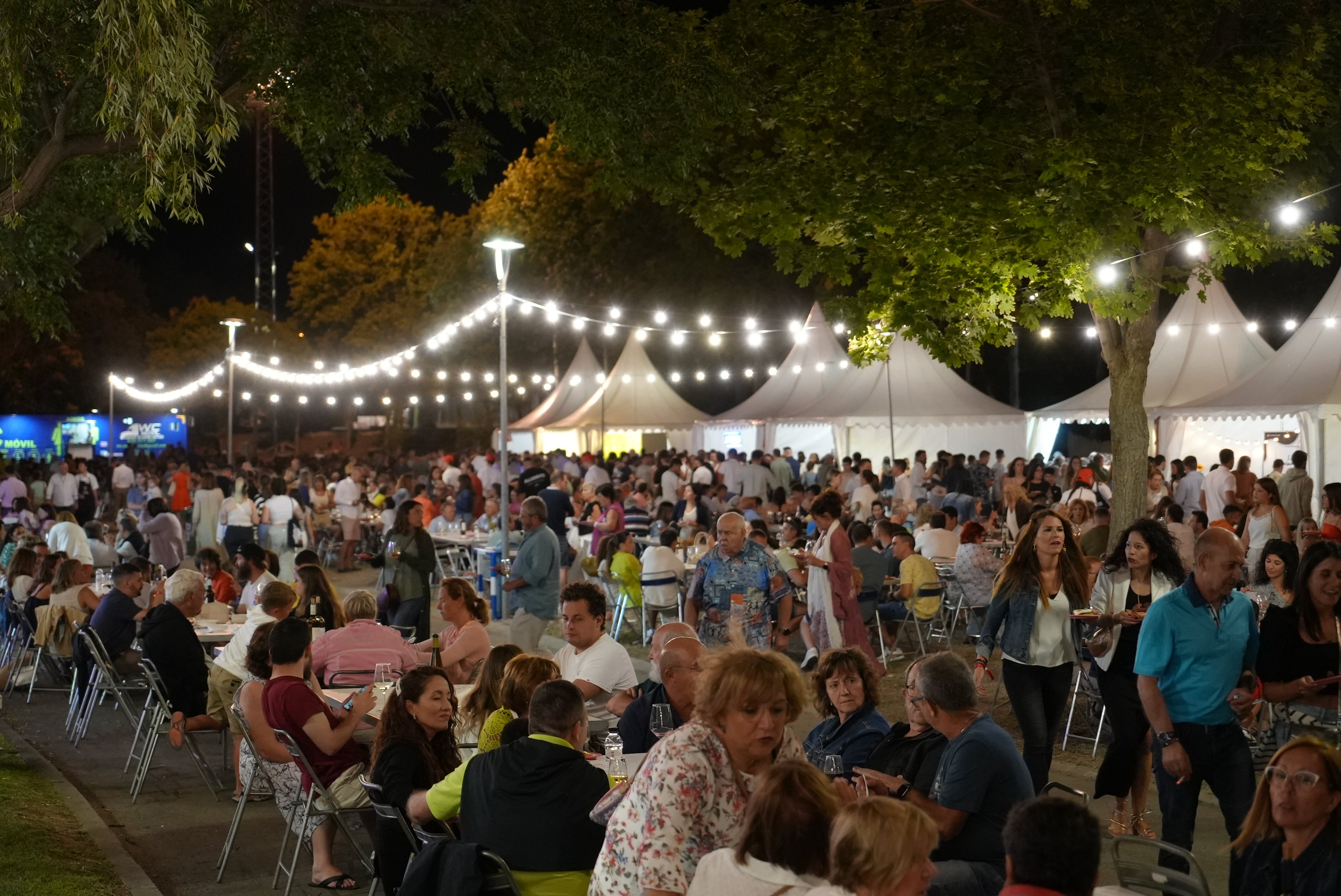 El Festival Vino Somontano finaliza con 32.000 asistentes El Festival Vino Somontano finaliza con 32.000 asistentes