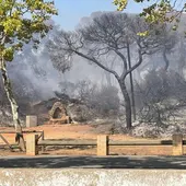 Imagen del Pinar de las Canteras Imagen del Pinar de las Canteras