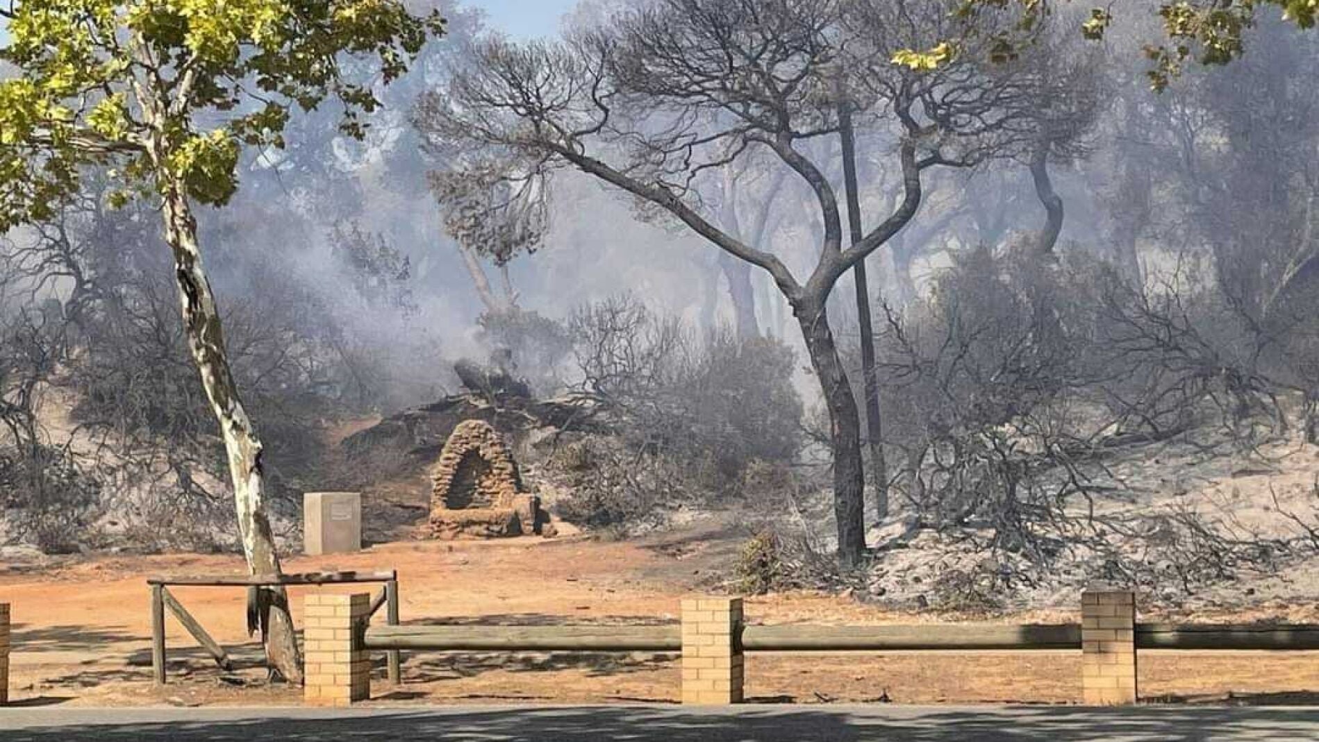 El Ayuntamiento de Puerto Real prohíbe en un bando el acceso al Pinar