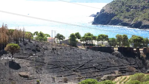 Els Bombers donen per extingit l’incendi de Portbou i Colera Els Bombers donen per extingit l’incendi de Portbou i Colera