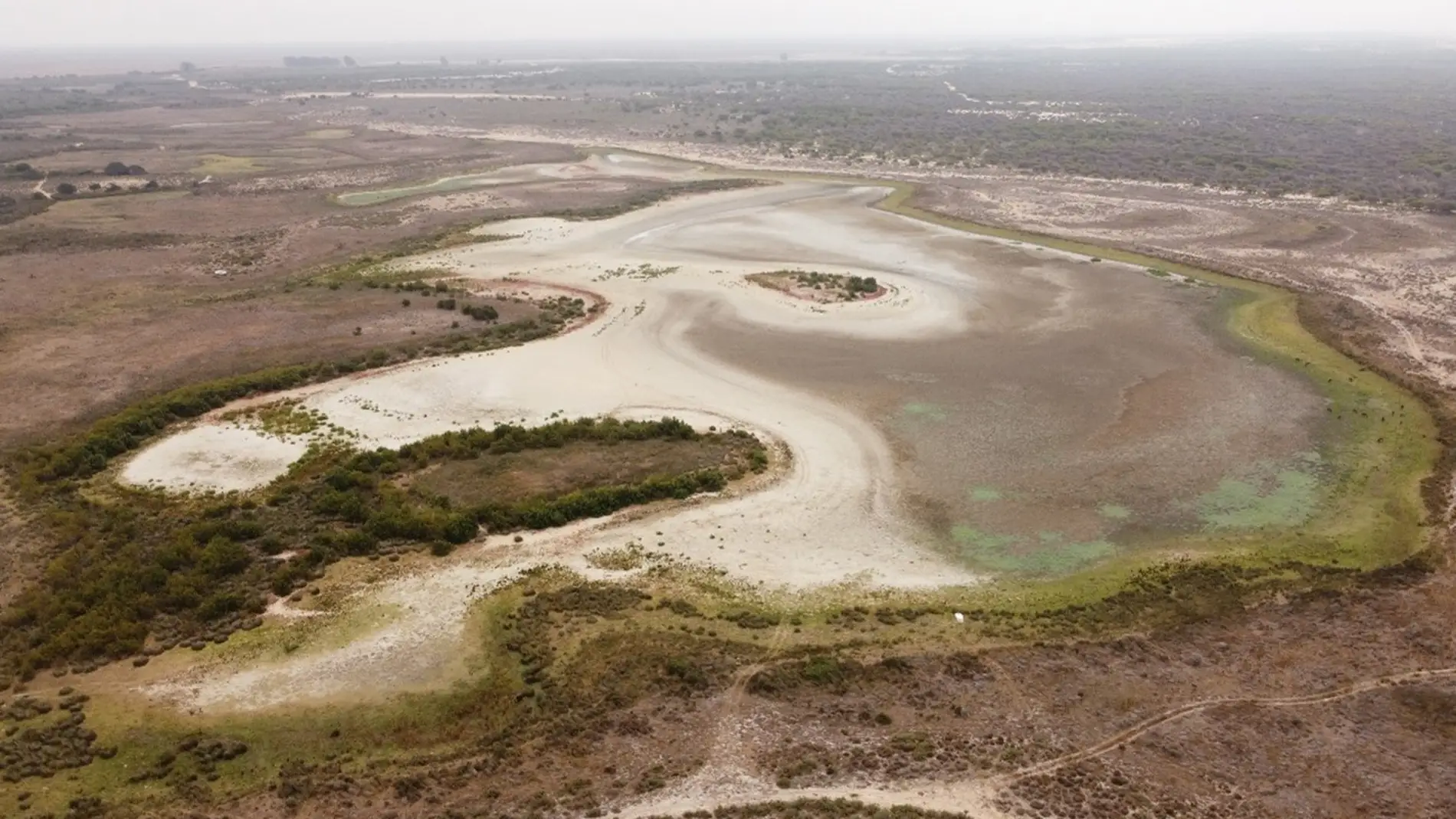Santa Olalla la laguna mas grande de Donana se seca por segundo ano consecutivo