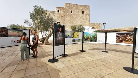 Formentera acoge la exposición fotográfica de MARE: “Historias de nuestro mar” Formentera acoge la exposición fotográfica de MARE: “Historias de nuestro mar”