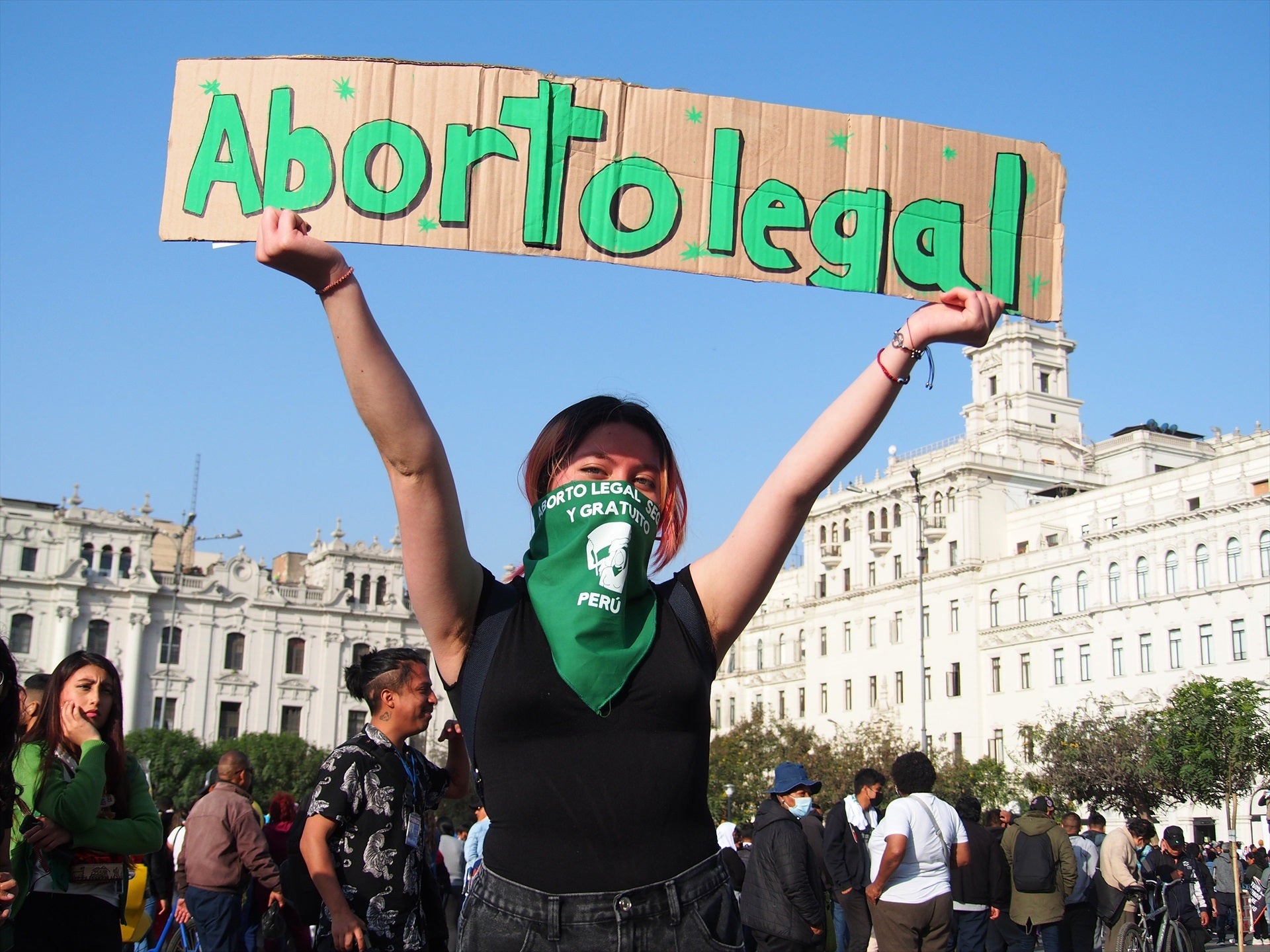 El defensor del Pueblo pide aplicar el "aborto terapéutico" a una niña de 11 años que fue violada El defensor del Pueblo pide aplicar el "aborto terapéutico" a una niña de 11 años que fue violada
