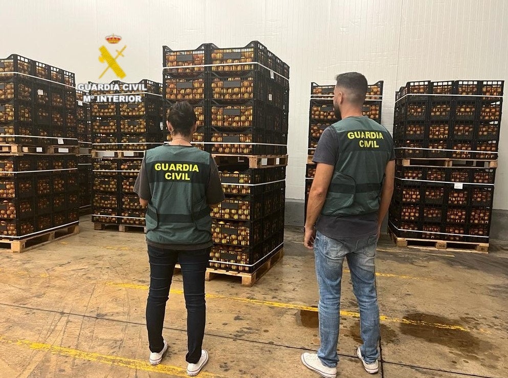 Detenido un extrabajador de un almacén por robar con otro hombre 25 toneladas de naranjas Detenido un extrabajador de un almacén por robar con otro hombre 25 toneladas de naranjas