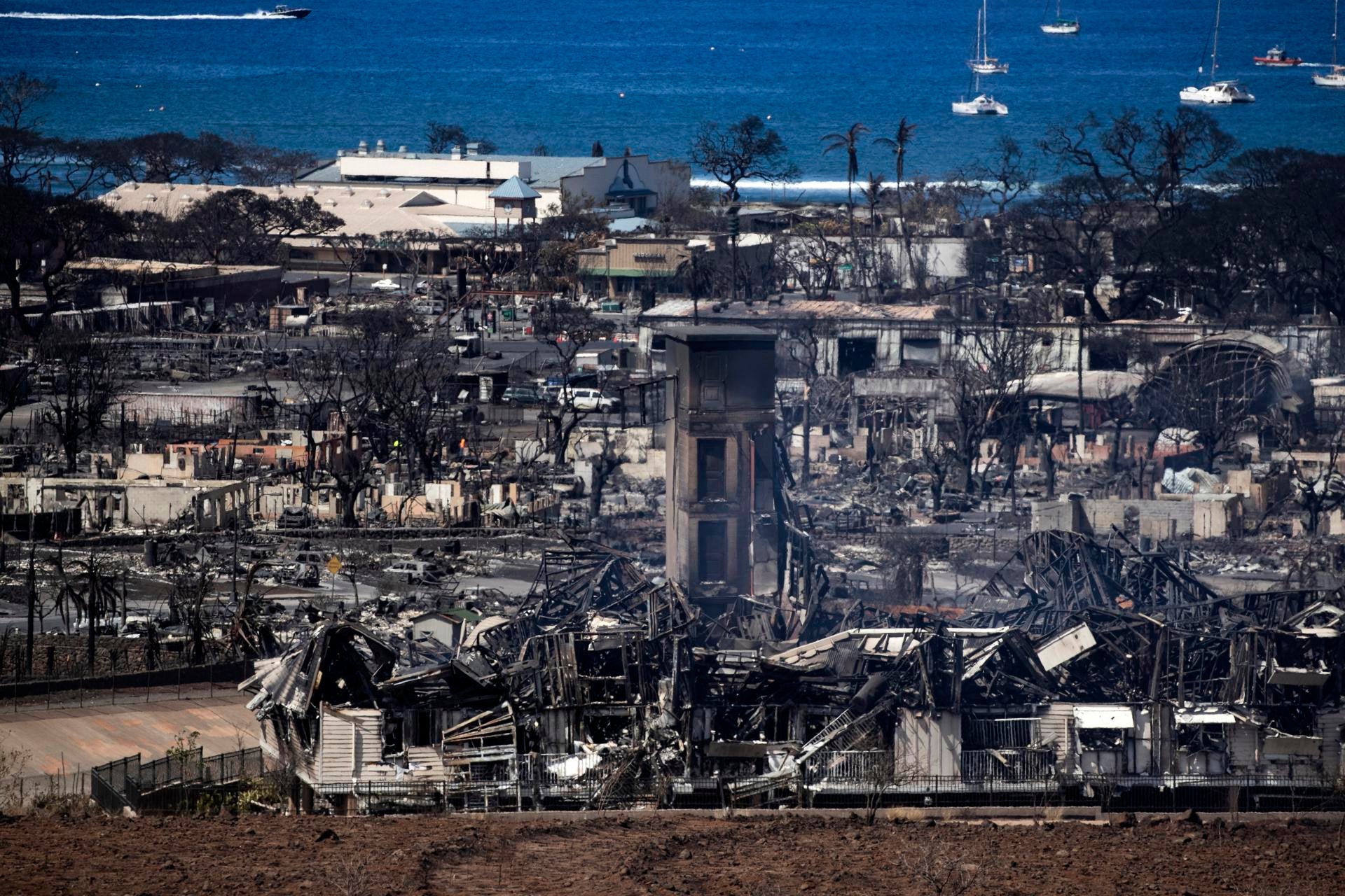 80 personas han muerto ya a causa de los incendios en Hawái 80 personas han muerto ya a causa de los incendios en Hawái