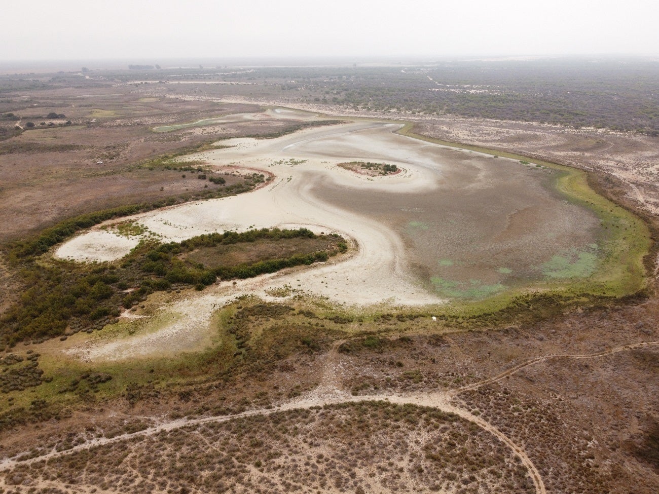 España se seca mientras otros niegan el cambio climático: "Ya no tenemos lagunas permanentes en Doñana" España se seca mientras otros niegan el cambio climático: "Ya no tenemos lagunas permanentes en Doñana"