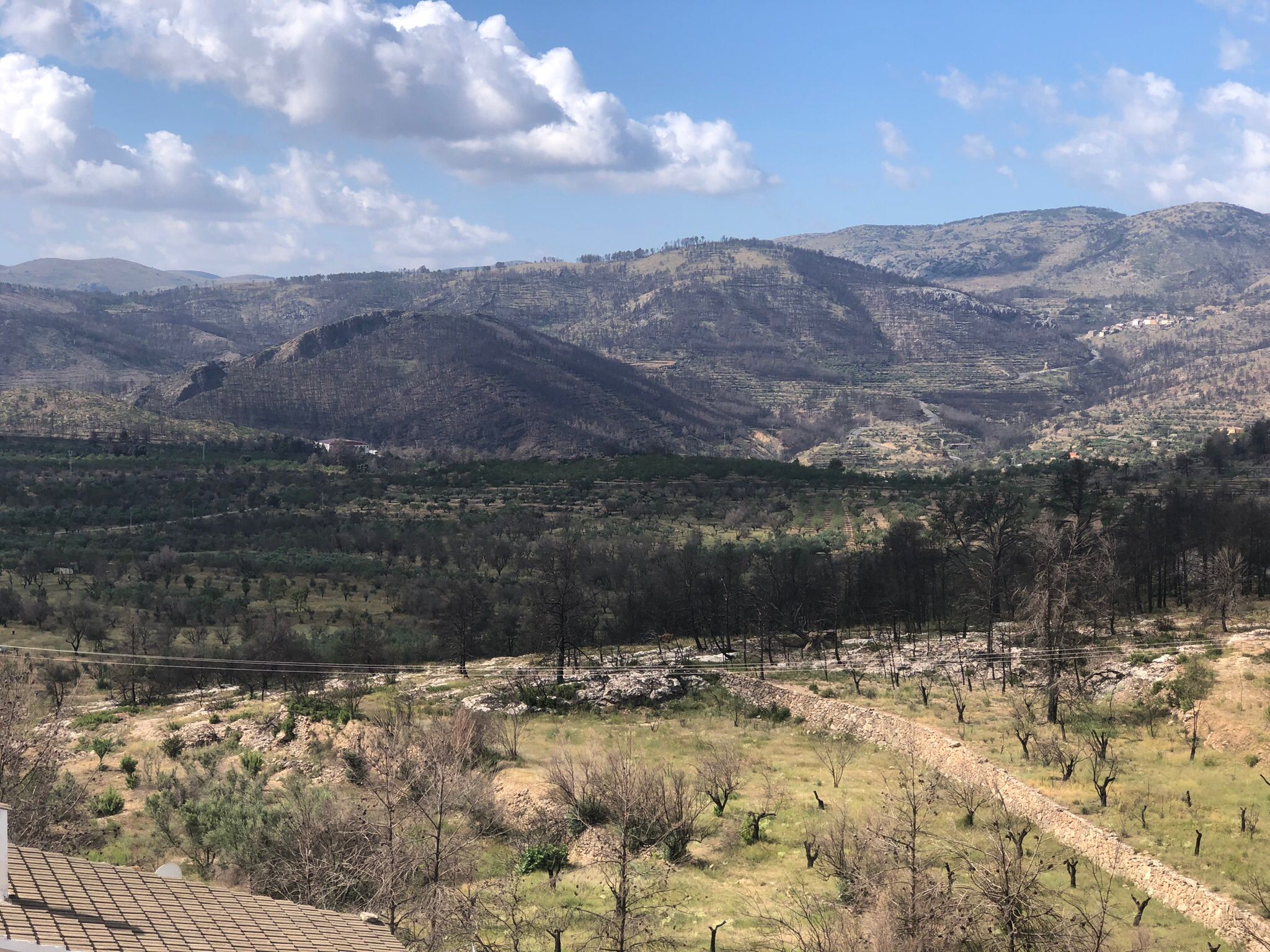 Los cinco pueblos afectados por el incendio de Bejís piden a las Administraciones que no les olviden Los cinco pueblos afectados por el incendio de Bejís piden a las Administraciones que no les olviden