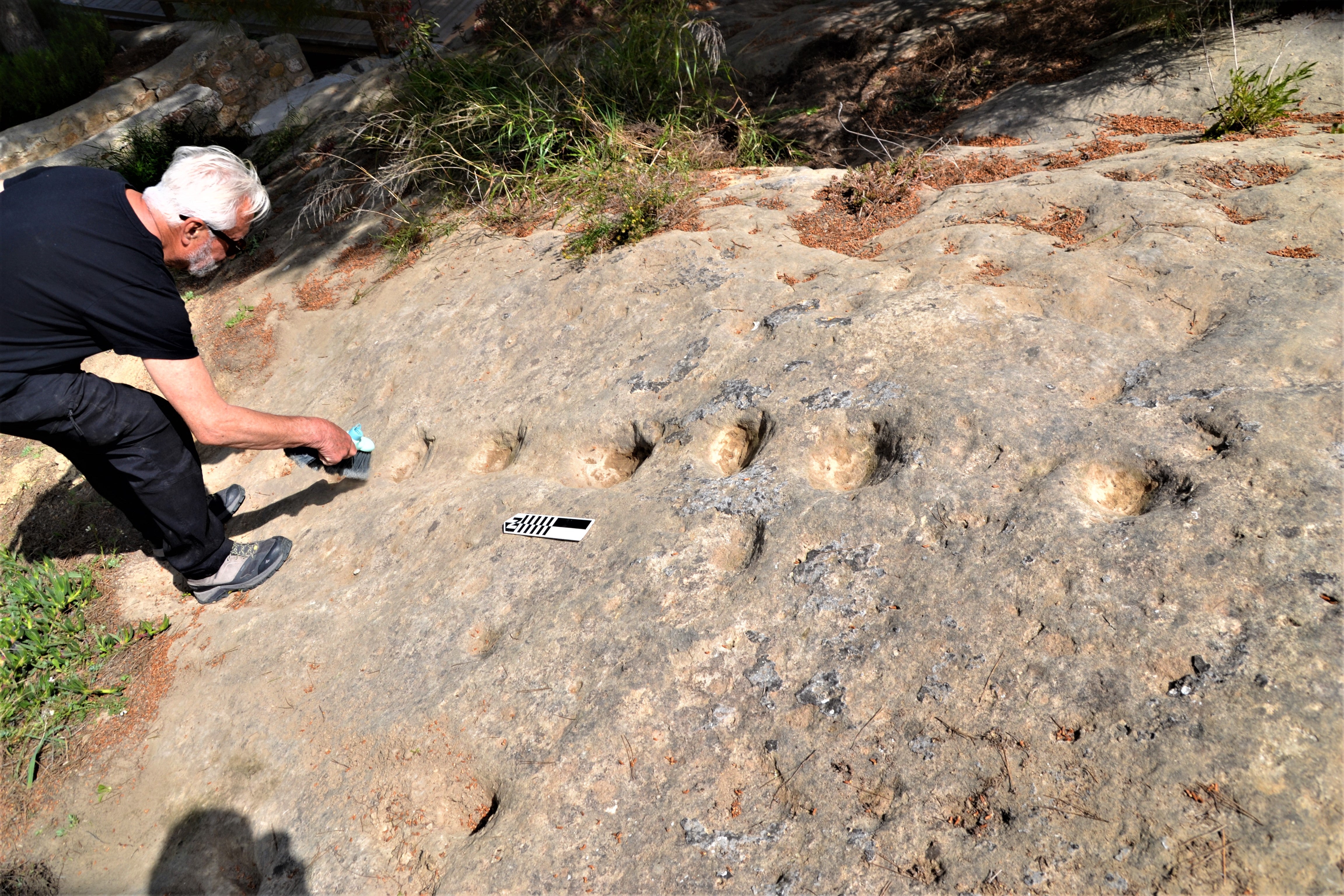 Descubiertas 17 localizaciones de grabados prehistóricos en Guardamar del Segura y Rojales Descubiertas 17 localizaciones de grabados prehistóricos en Guardamar del Segura y Rojales