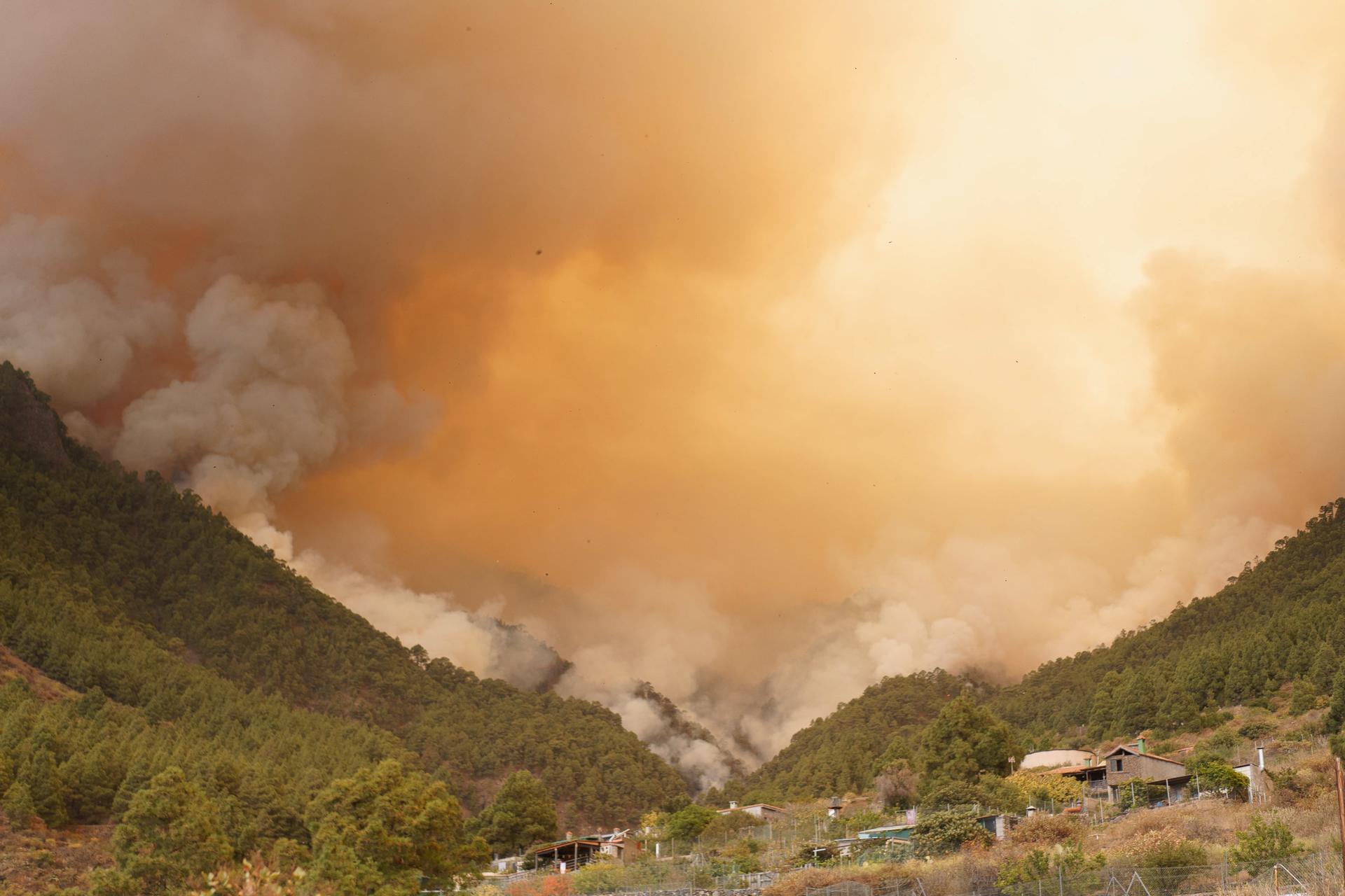 Arde la cumbre de Tenerife: en 24 horas las llamas han devorado 2.000 hectáreas de pinar Arde la cumbre de Tenerife: en 24 horas las llamas han devorado 2.000 hectáreas de pinar