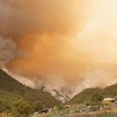 Incendio forestal en Tenerife declarado en el municipio de Arafo en la noche del martes 15 de agosto de 2023