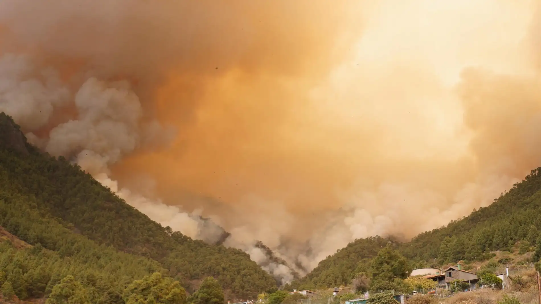 Incendio forestal en Tenerife declarado en el municipio de Arafo en la noche del martes 15 de agosto de 2023