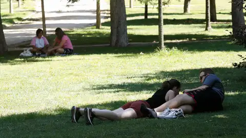 Varias personas descansan a la sombra en un parque de Madrid. Varias personas descansan a la sombra en un parque de Madrid.