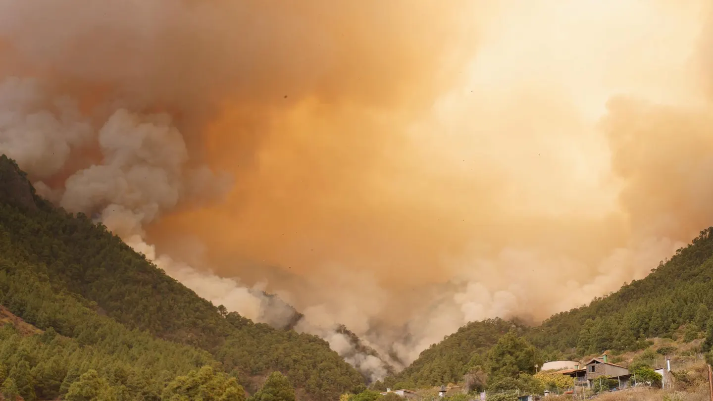 Incendio en la isla de Tenerife Incendio en la isla de Tenerife