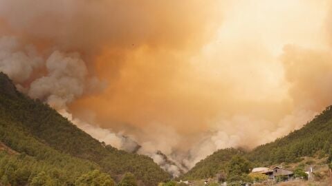 Incendio en la isla de Tenerife