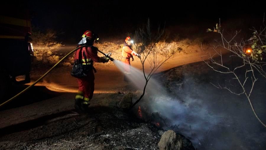 La dura situación en Tenerife por los incendios: "Que nos escuchen" La dura situación en Tenerife por los incendios: "Que nos escuchen"