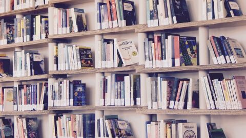Imagen de archivo de varias estanter&iacute;as con libros