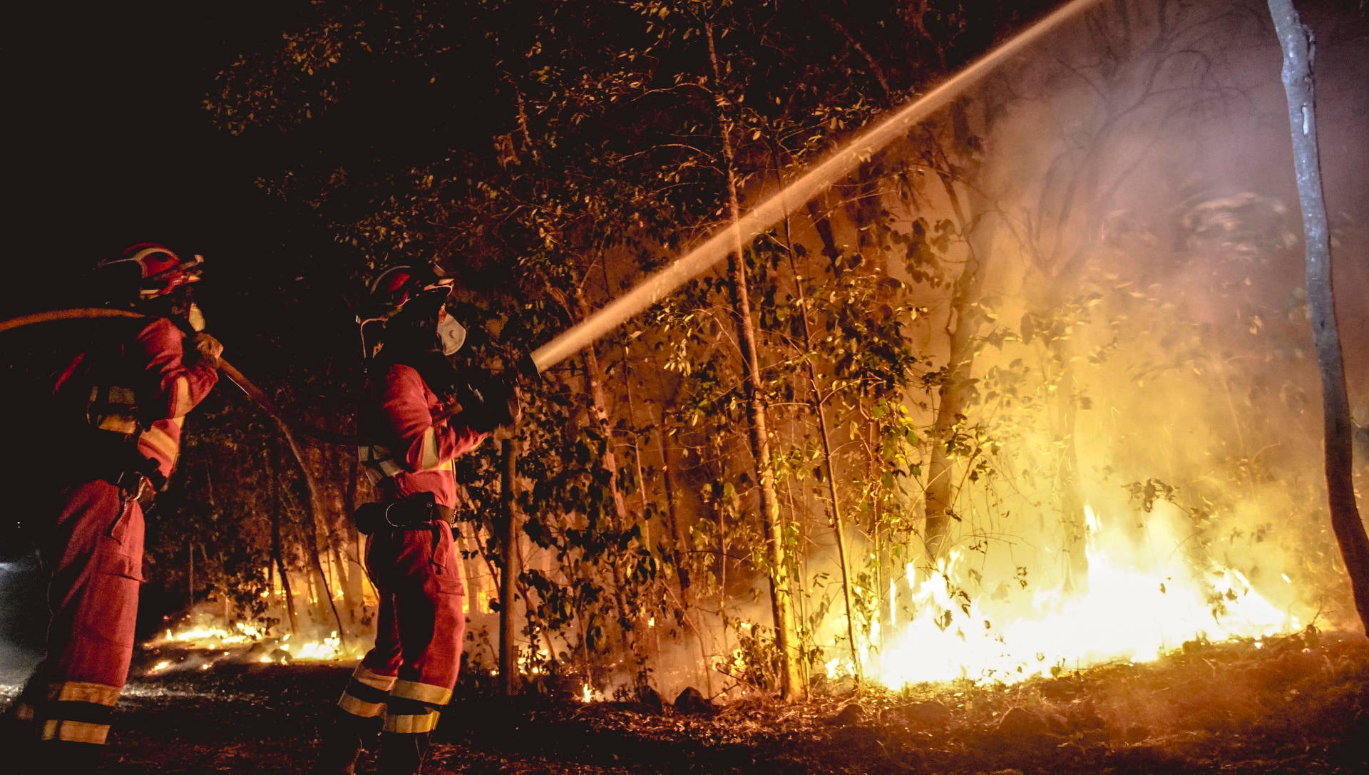 El incendio de Tenerife arrasa ya más de 8.000 hectáreas con 12.000 evacuados El incendio de Tenerife arrasa ya más de 8.000 hectáreas con 12.000 evacuados
