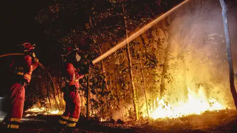 El incendio de Tenerife arrasa ya más de 8.000 hectáreas con 12.000 evacuados El incendio de Tenerife arrasa ya más de 8.000 hectáreas con 12.000 evacuados