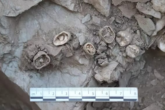 El Dolmen de Bernardos muestra el enterramiento de un niño de la Edad de Bronce El Dolmen de Bernardos muestra el enterramiento de un niño de la Edad de Bronce