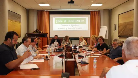 La Junta asegura que las cifras vertidas en los últimos días sobre la enfermedad hemorrágica epizoótica "no son reales" La Junta asegura que las cifras vertidas en los últimos días sobre la enfermedad hemorrágica epizoótica "no son reales"