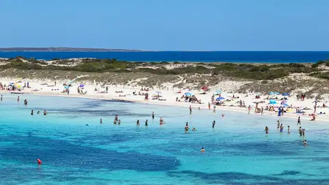 El Consell de Formentera dejará de bonificar la totalidad del transporte público a partir del 1 de septiembre El Consell de Formentera dejará de bonificar la totalidad del transporte público a partir del 1 de septiembre