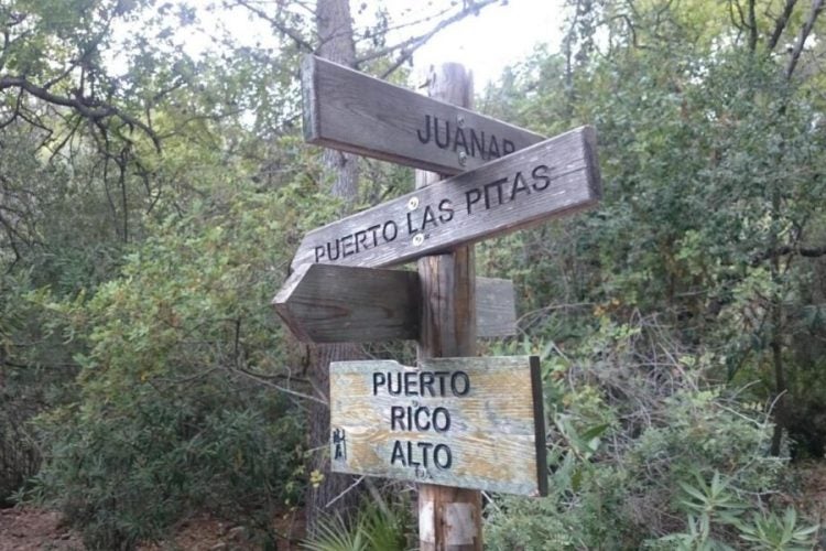 El Ayuntamiento de Marbella confía en que Puerto Rico Bajo esté listo para "El Tostón" El Ayuntamiento de Marbella confía en que Puerto Rico Bajo esté listo para "El Tostón"