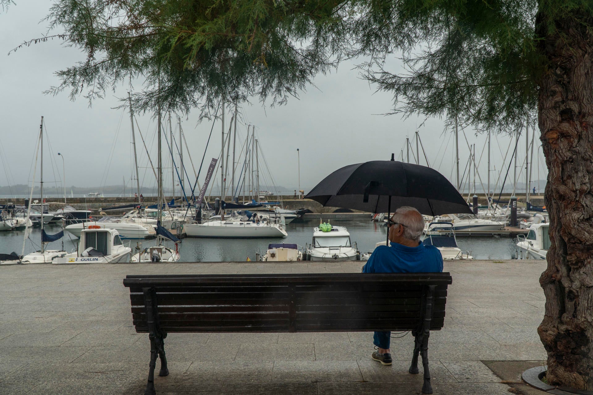 Cambio radical del tiempo: desplome de temperaturas, lluvias y tormentas para el último fin de semana de agosto Cambio radical del tiempo: desplome de temperaturas, lluvias y tormentas para el último fin de semana de agosto