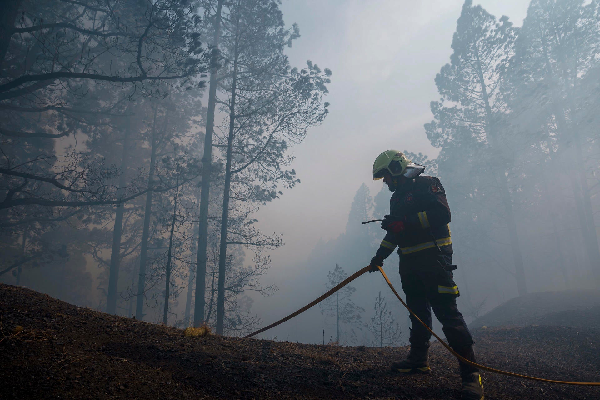 Imagen de archivo de uno de los últimos incendios en Tenerife Imagen de archivo de uno de los últimos incendios en Tenerife