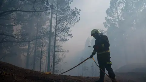 Imagen de archivo de uno de los últimos incendios en Tenerife El incendio de Tenerife es el peor de Canarias en los últimos 40 años