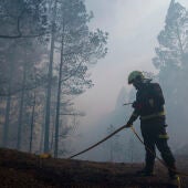 El incendio de Tenerife es el peor de Canarias en los últimos 40 años