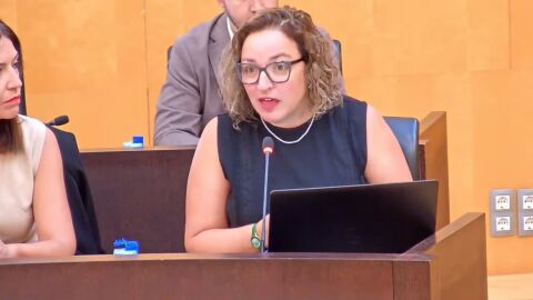 La portavoz del PP de Benidorm, Lourdes Caselles La portavoz del PP de Benidorm, Lourdes Caselles