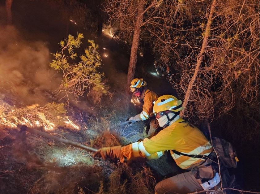 El incendio en Valle calcina cerca de 4 hectáreas de suelo forestal El incendio en Valle calcina cerca de 4 hectáreas de suelo forestal