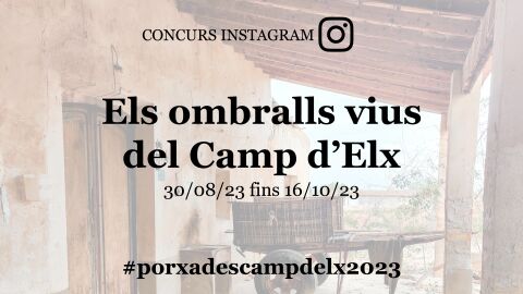 Concurso fotogr&aacute;fico Camp d'Elx.