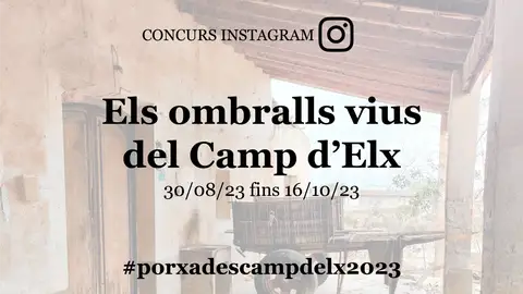 Concurso fotográfico Camp d'Elx. Concurso fotográfico Camp d'Elx.
