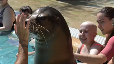 Proyecto TAO de la Fundación Río Safari Elche Proyecto TAO de la Fundación Río Safari Elche