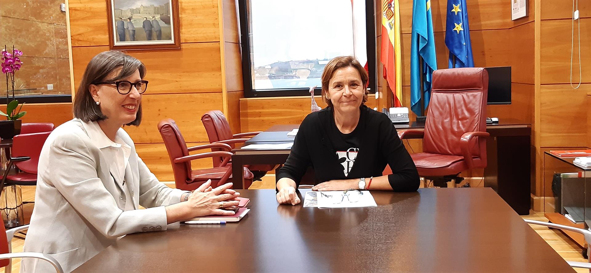 La consejera Nieves Roqueñí confía en que la ampliación del plazo en el vial de Jove se recupere si hay un proyecto "bien enfocado" La consejera Nieves Roqueñí confía en que la ampliación del plazo en el vial de Jove se recupere si hay un proyecto "bien enfocado"