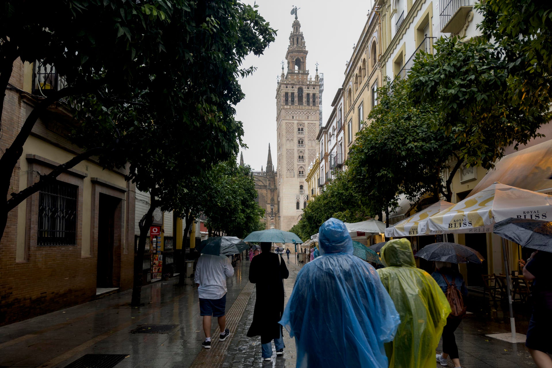 La Aemet quita los avisos en todas las comunidades, salvo en Galicia, tras el paso de la DANA La Aemet quita los avisos en todas las comunidades, salvo en Galicia, tras el paso de la DANA