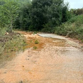 LLUVIAS DANA CAMPO LLUVIAS DANA CAMPO