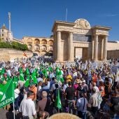 Manifestación de agricultores y ganaderos en Córdoba