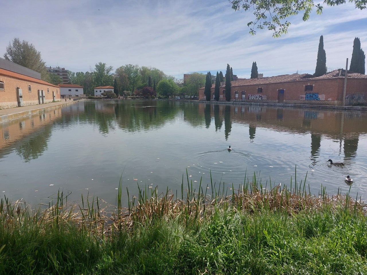 "Salvemos la Dársena" presenta alegaciones a la modificación del Plan General de Ordenación Urbana en lo que afecta al PERI 5 "Salvemos la Dársena" presenta alegaciones a la modificación del Plan General de Ordenación Urbana en lo que afecta al PERI 5